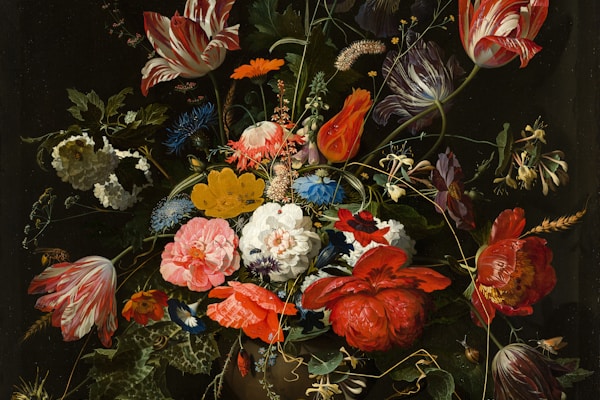 Hylla Modul